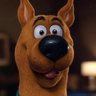 Ruh-Roh Raggy 的头像