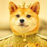 Doge山顶holder profil fotoğrafı