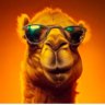 Profilbild von Thomas Contento
