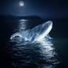 Nova_Whale 的头像
