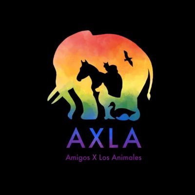 axlamadrid.org's profile picture