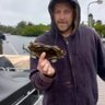 Matt McCann's profile picture