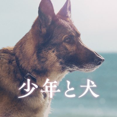 shonentoinu_mv's profile picture