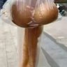 Ckkk's profile picture