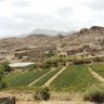 Фото профиля Sleem Aldahri