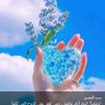 Adel fathy profil fotoğrafı