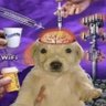 Lucas's profile picture