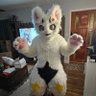 Kretesh ➡Anthrocon 25' ➡ MFF '25 profil fotoğrafı
