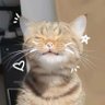Profilbild von paigey