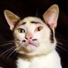 元清水市民 はなれ's profile picture