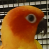 The erny clan's profile picture