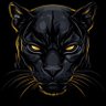 Onça Negra ⬛️🟨⬜️'s profile picture