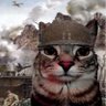 Gato profil fotoğrafı
