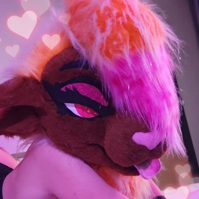 🎀🐑 𝕔𝕒𝕟𝕕𝕪 🐑🎀's profile picture