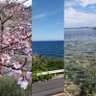 Фото профиля 万田 海斗