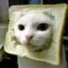 .PPSEA.'s profile picture