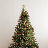 Caseohschristmastree's profile picture