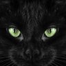 Alien Paws 的头像