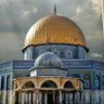 Фото профиля ام نور الدينjehad ALdjani