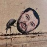 Andrea Catanzaro's profile picture