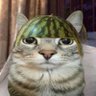 Profilbild von Just_LAX