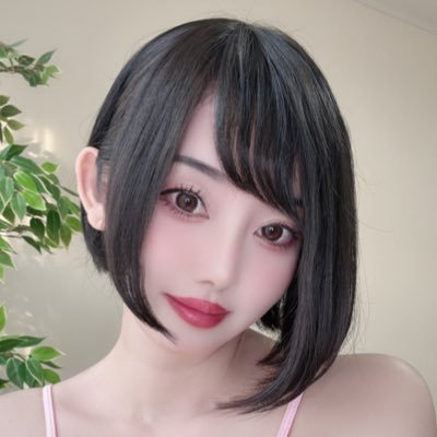 🐤 ayachamo 💗's profile picture