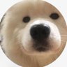 Profilbild von mxrmushi ◡̈