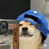 Profilbild von michelle