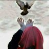 ضُحی profil fotoğrafı