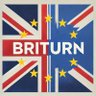 Robert McCulloch #Briturn 🇪🇺🇬🇧🏴 的头像