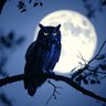 Night Owl's profile picture
