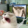 风's profile picture