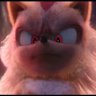 olivee🍉's profile picture