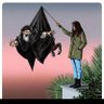 kalpsizadam's profile picture