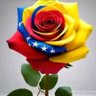 lavenezolanaCarmen 的头像