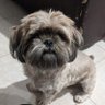 Electrosun profil fotoğrafı