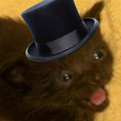 marian_baczal's profile picture