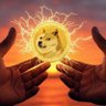 รOGE Capitone's profile picture