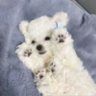 Profilbild von 小馥要幸福.