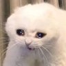 ไปธุระเรียกลากิจ ไปจากชีวิตเรียกลาก่อน's profile picture