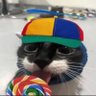 Zowie's profile picture