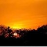 Orange Skies's profile picture