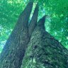 Фото профиля B. Toddington