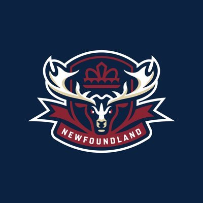 Newfoundland Regiment's profile picture