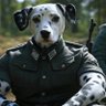 Фото профиля Dalmatian Fren