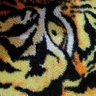 ankit19's profile picture