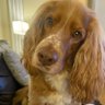 Profilbild von Mr Bob