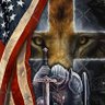 Фото профиля Gideon Pretorius🇺🇲🚹