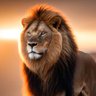Фото профиля David Gold