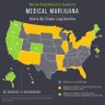 Legalize It Now South Carolina's profile picture